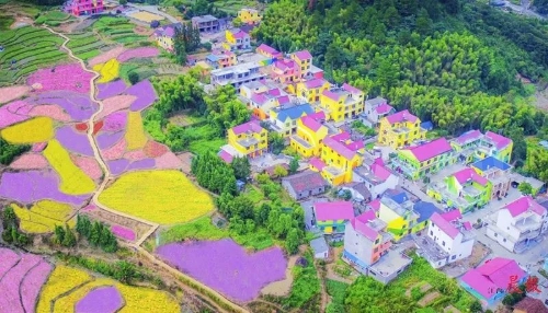 參觀美麗鄉(xiāng)村建設心得_美麗鄉(xiāng)村建設墻體彩繪_盤錦完善公共服務,建設美麗鄉(xiāng)村 遼寧新聞