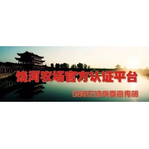 饒河農(nóng)場(chǎng)小學(xué)開(kāi)展最美班級(jí)走廊文化墻設(shè)計(jì)活動(dòng)